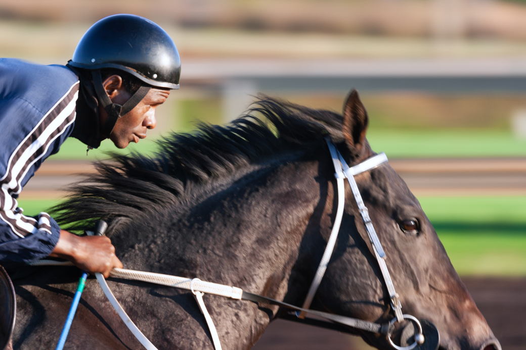 Tiz the Bomb can thrive on turf for Belmont Derby | OTB California