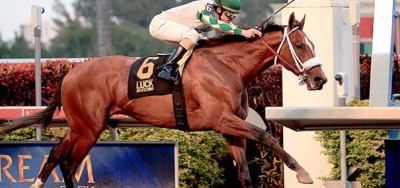 $100,000 Millions Turf Preview Attracts Eight Florida-Breds