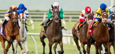 $100,000 South Beach Stakes Draws Field of Thirteen