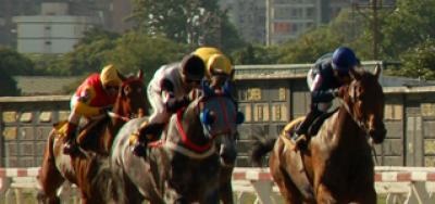 $200,000 Real Good Deal Stakes Features Full Field