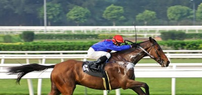 $300,000 Grade II Prioress Looks up for Grabs