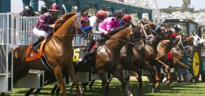 $90,000 Wickerr Stakes Draws Field of Nine