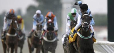 Absence of Wise Dan Gives Other Milers Hope in Shoemaker