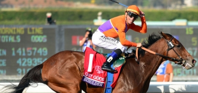 Beholder Adds Intrigue to BC Classic Picture