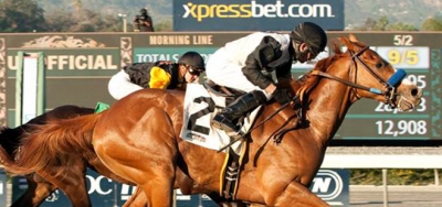 Bench Warrant Serving Eight Rivals in $75,000 Pasadena Stakes