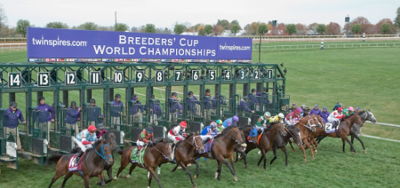 Free Breeders' Cup 2020 Picks