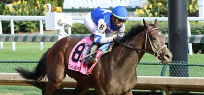 2019 Breeders Cup Best Picks are for the Juvenile Race