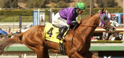 California Chrome Returns in Grade 2 San Pasqual