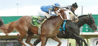 Compact but Quality Field of Six Set for $250,000 Florida Sunshine Millions Classic