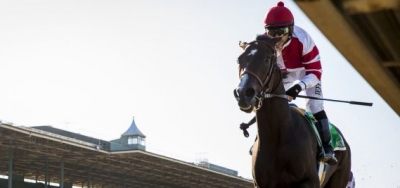 Don't Look for Defeat in Songbird's Return