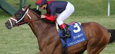 Eleven Long Distance Turf Horses to Compete in $75,000 H. Allen Jerkins