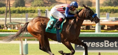 Enchanting Lady Trying to Break Through in $150,000 Victory Ride