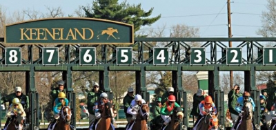Graded Stakes Winners Battle in Grade 3 Doubledogdare