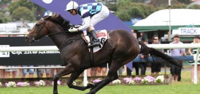 Habibi (NZ) Up Against Seven Rivals in $150,000 Suwannee River Stakes