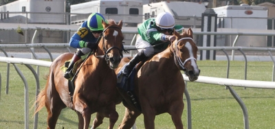 Kiss To Remember Faces Twelve in $60,000 Pago Hop Stakes