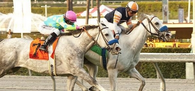 La Tia Faces Seven Rivals in $300,000 Matriarch