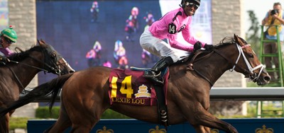 Loaded Field of Ten Set for $100,000 Autumn Miss Stakes