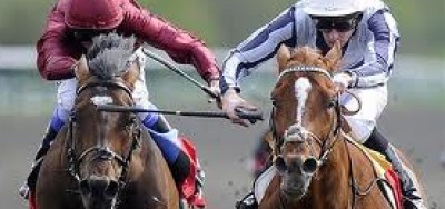 Main Sequence Going for Third Straight in $600,000 Turf Classic