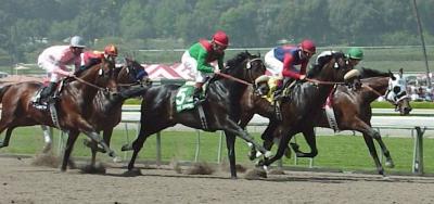 Nine Expected Postward For Whittingham Handicap