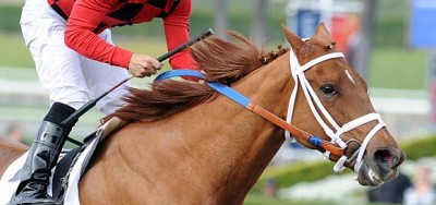 No Nay Never Tops Loaded Field for $1 Million Breeders' Cup Turf Sprint