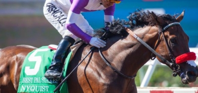 Nyquist Returns in Grade 2 San Vicente Stakes