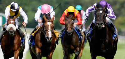 Photo Call (IRE) Ready for Close Up in $200,000 Orchid Stakes