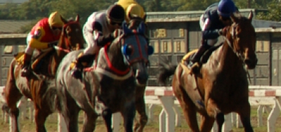 Price Shopping Begins in 2016 Belmont Stakes