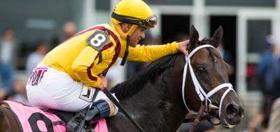 Rock Fall Heavily Favored in Grade 1 Vosburgh