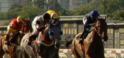 Sharp Juvenile Fillies Set for Battle in Louisiana Lassie