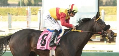 Soft Comeback Spot for Danzing Candy in $100,000 Affirmed Stakes