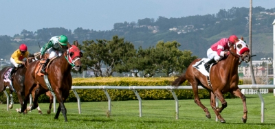 Summer Hit Makes Third Appearance in $100,000 San Francisco Mile