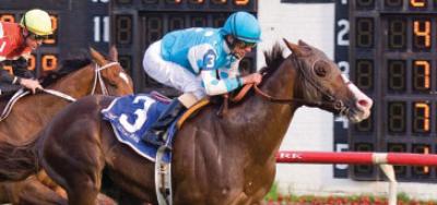 Ten Sophomores Square Off on the Turf in the American Derby (G3)