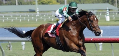 Ten Turf Fillies Line up for Grade 3 Sweetest Chant