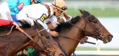 Undefeated Elusive Collection Gets Class Test in $200,000 Bessarabian Stakes