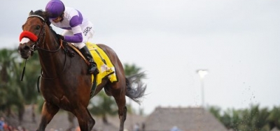 Underdog Nyquist Finds Himself in New Role as KY Derby Fave