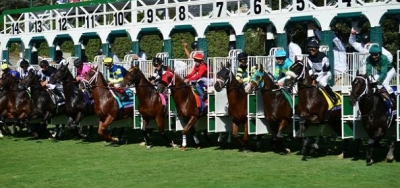 Velvet Mesquite Headlines Field for $100,000 Irish O'Brien Stakes