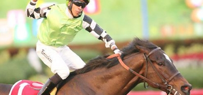 Vitali Pair Looms Large in $100,000 Tropical Park Turf Handicap