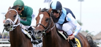 War Correspondent Makes Return in $100,000 El Prado Stakes