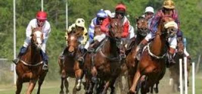 Waterway Run Tops The Field For The Perfect Sting Stakes