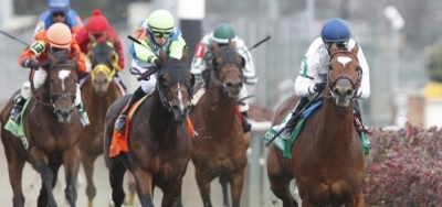 Well-Bred Fillies Square Off in $100,000 Ginger Brew Stakes