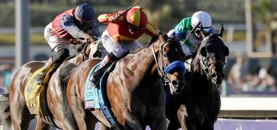 Wild Dude Runs Wild in Palos Verdes