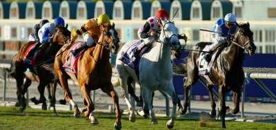 Za Approval Tries to Defend Title in $200,000 Knickerbocker at Belmont